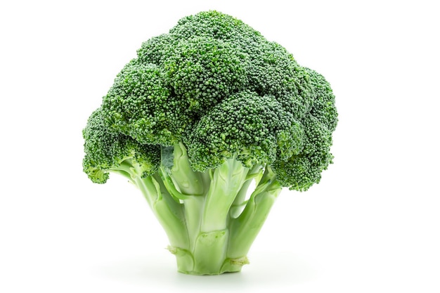 Photo fresh broccoli isolated on white background.