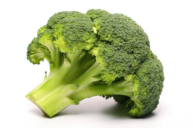 Fresh broccoli isolated on white background