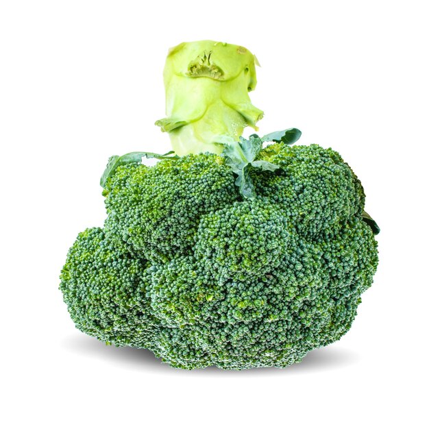 Foto broccoli freschi isolati su fondo bianco