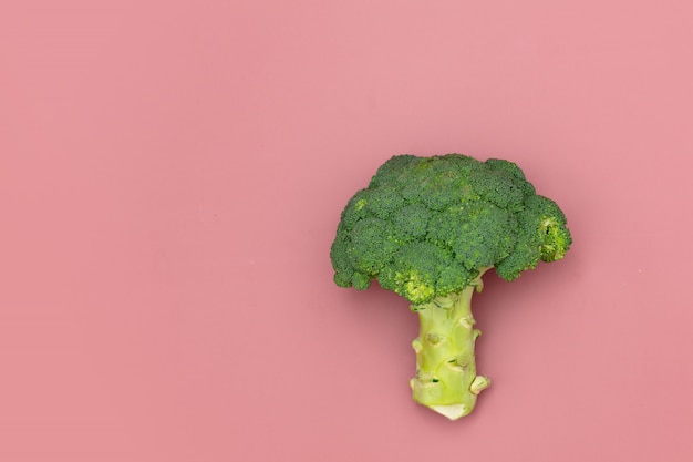 Fresh broccoli on pink background