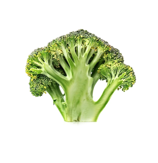 Fresh broccoli on white background