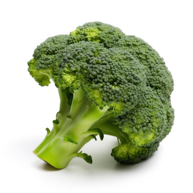 Fresh brocolli isolated Illustration AI GenerativexA