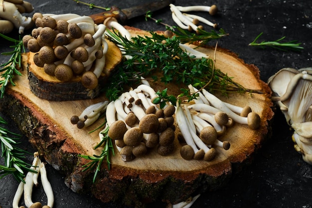 Fresh brown beech mushroom on black background on a stone table Side view