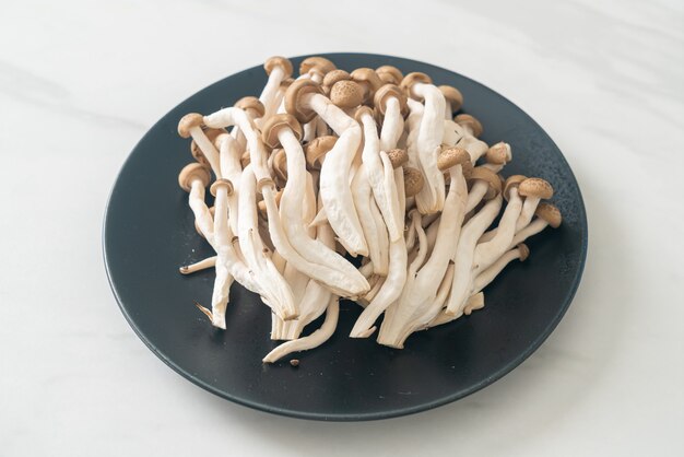 Fresh brown beech mushroom or black reishi mushroom on plate