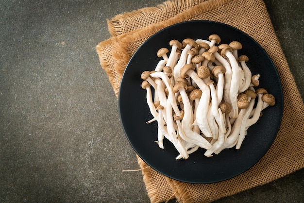 Foto fungo di faggio marrone fresco o fungo reishi nero sul piatto