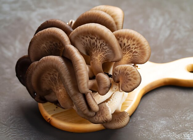 Photo fresh brown beech mushroom or black reishi mushroom