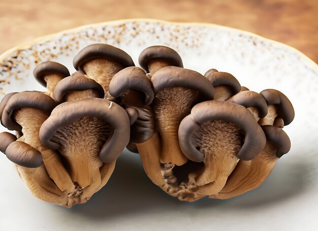 Photo fresh brown beech mushroom or black reishi mushroom