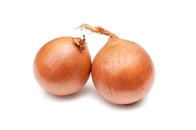 Fresh bulbs of onion on a white background