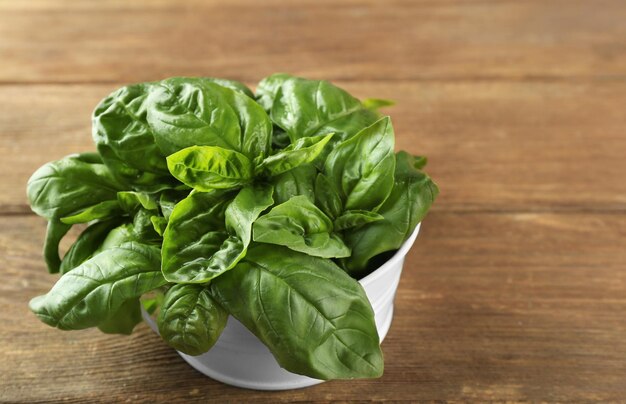 Fresh bunch of basil on wooden table