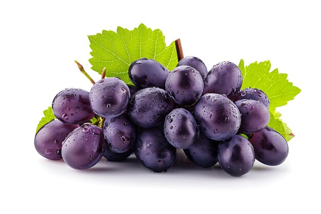 Fresh bunch of black grapes with water drops isolated on white background