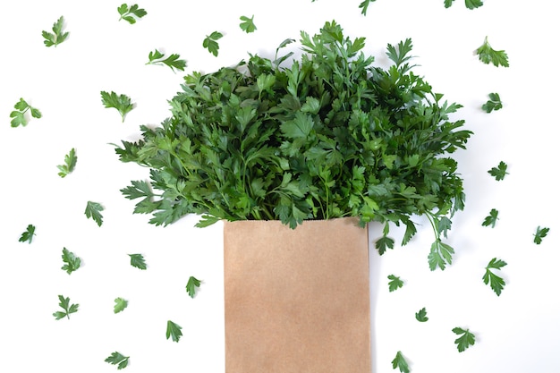 Fresh bunch of cilantro, coriander or parsley in paper bag isolated on white background