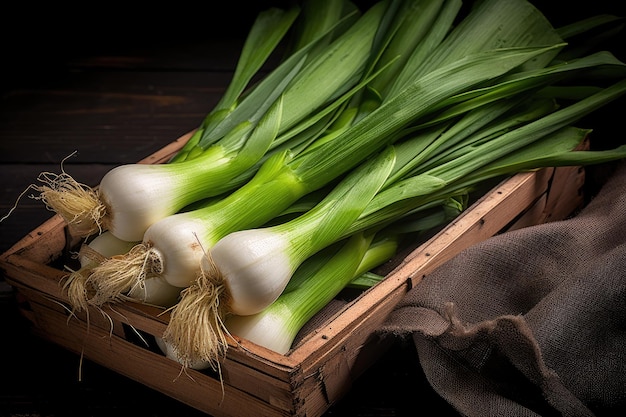 Fresh bunch of leeks