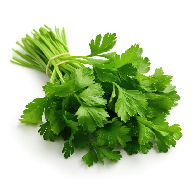 Fresh bunch of parsley on white background