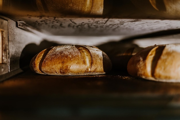 Fresh buns from the oven Conveyor with bread Baking bread Workshop for production of bread White bread in the oven Hot buns Confectionery