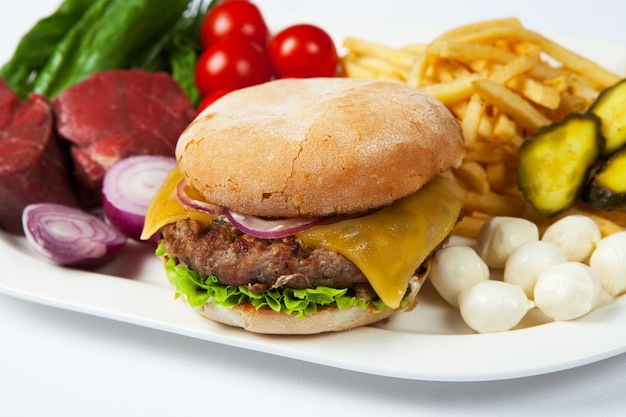 Fresh burger in plate with vegetables and french fries