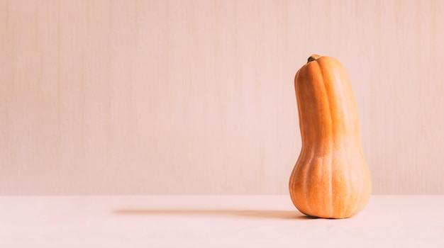 Fresh Butternut Squash Raw orange organic butternut squash ready to bake bottle shaped butternut pumpkin