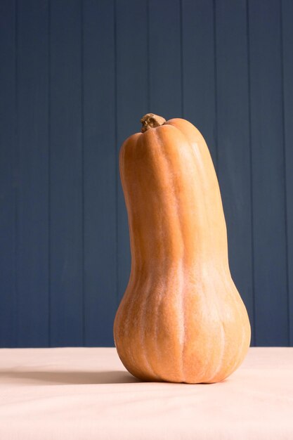 Fresh Butternut Squash Raw orange organic butternut squash ready to bake bottle shaped butternut pumpkin