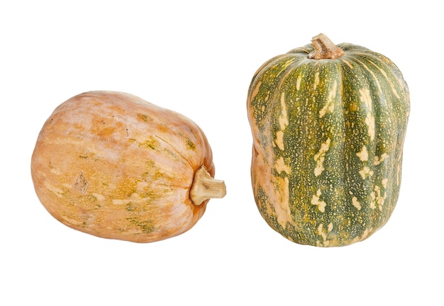 Fresh butternut squashs on white background about squash pumpkin butternut squash butternut and autumn pumpkin