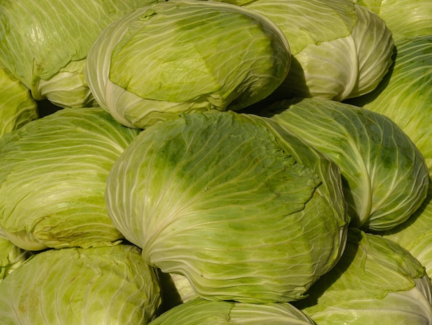 Fresh cabbages at the market