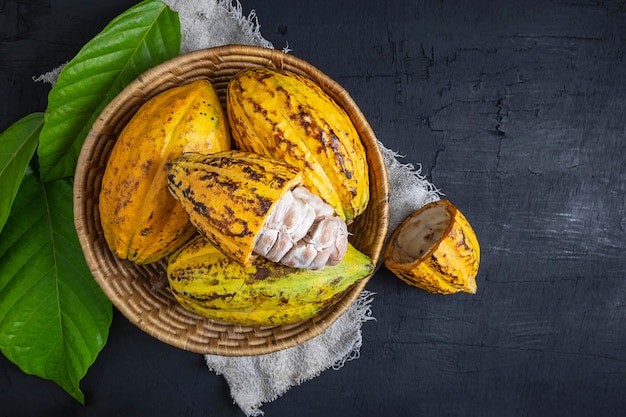 Frutta fresca del cacao nel cestino