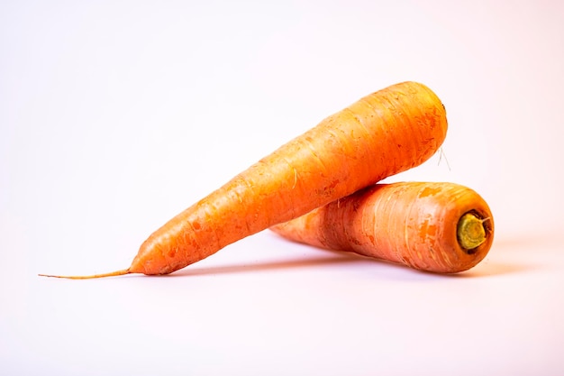 fresh carrot on white background