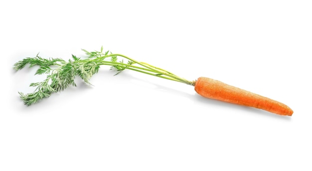 Свежая морковь с листьями, изолированными на белом