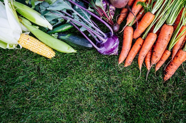 Photo fresh carrots beetroot corn zucchini kohlrabi cabbage composition with assorted raw organic vegetables