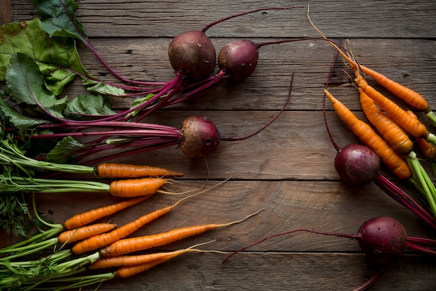 Fresh carrots and beetroots heap with green stems.