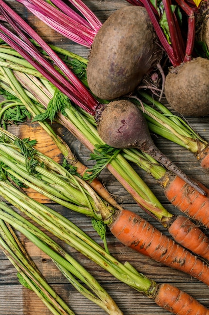 Fresh carrots and beets with their green stems