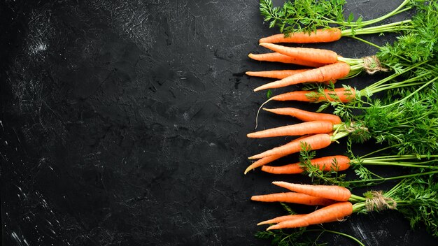 Fresh carrots on a black stone background Top view Free space for your text