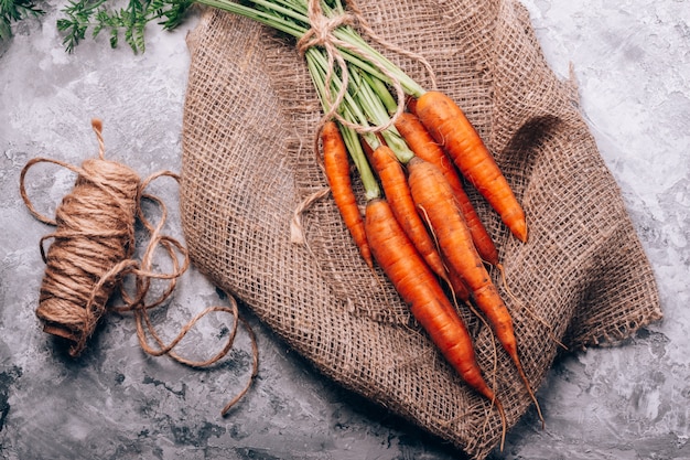 Fresh carrots from a bed with burlap and rope