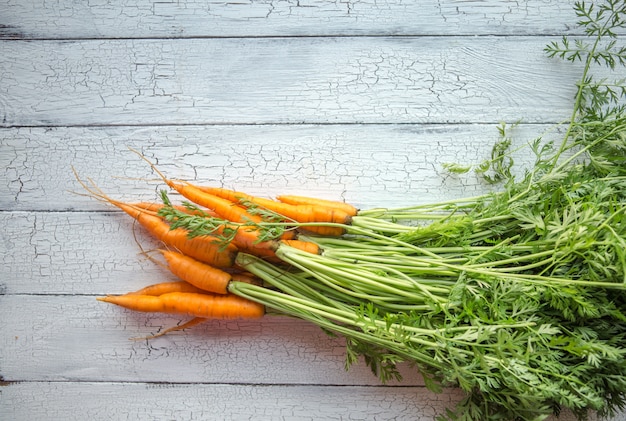 Fresh carrots heap with green stems.