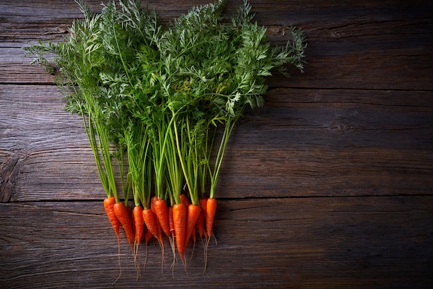 Fresh carrots just harvested on wood