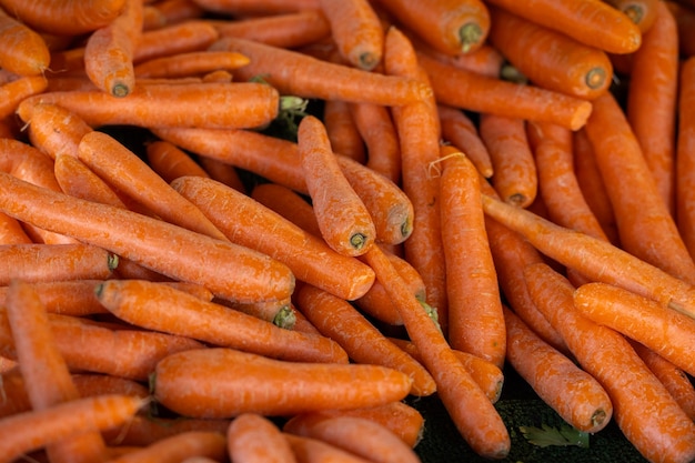 Fresh carrots in the market