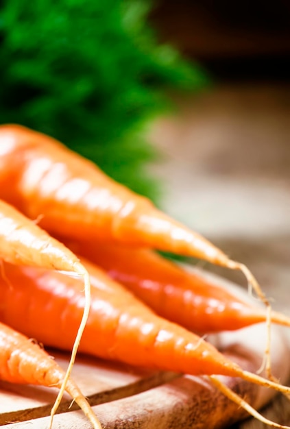 Fresh carrots shallow depth of field selective focus