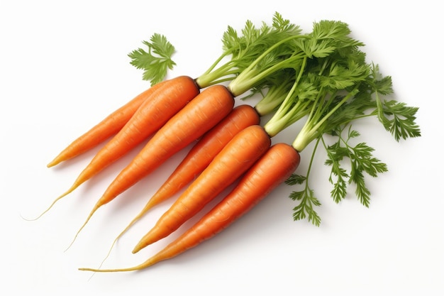 Fresh carrots on a white background