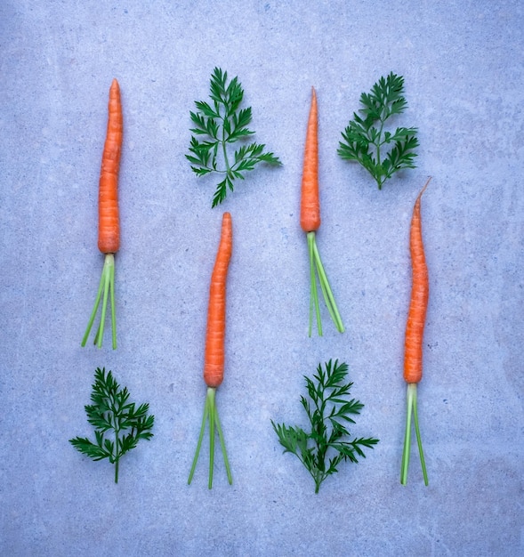 Fresh carrots with green leaves flat lay backdrop pattern in top view