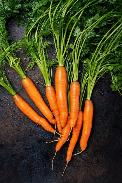 Fresh carrots with green leaves