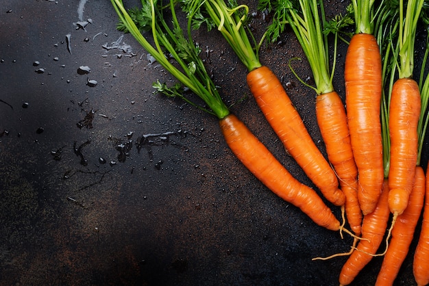 Fresh carrots with green leaves