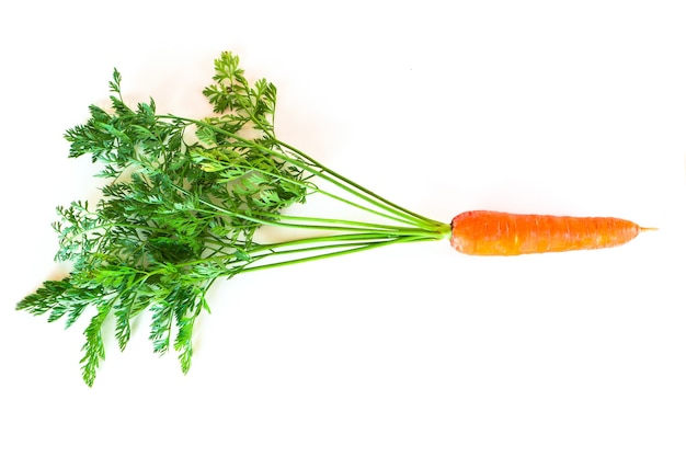 Photo fresh carrots with green tops on a white background. harvest fresh vegetables. product of agriculture, farming.