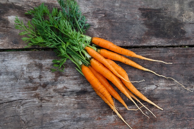 Photo fresh carrots