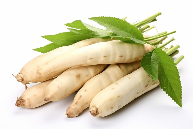 Fresh Cassava on Isolated White Background Created with Generative AI