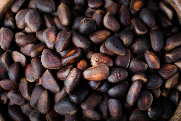 Fresh cedar unpeeled nuts isolated