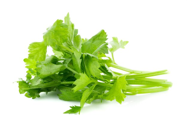 Fresh celery isolated on white surface