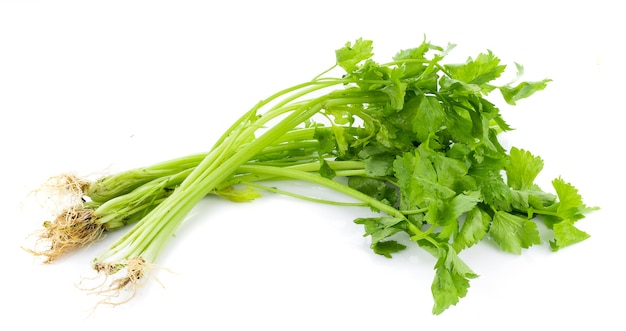 Fresh celery isolated on white surface