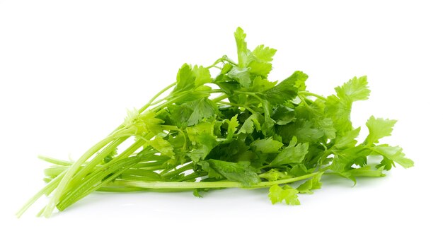 Fresh celery isolated on white surface