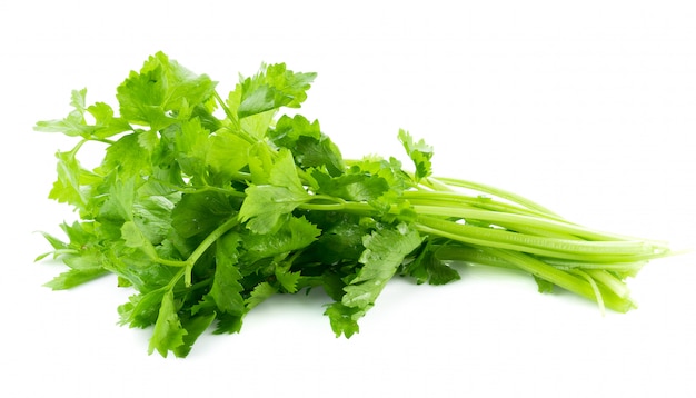 Fresh celery isolated on white