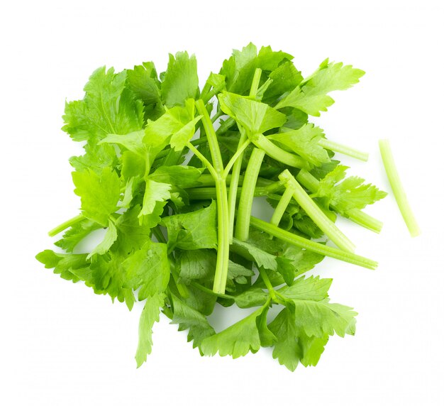 Fresh celery isolated