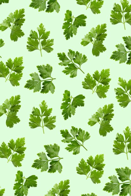 Photo fresh celery leaves on a green pattern background