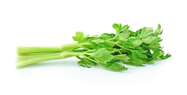 Fresh celery on white background